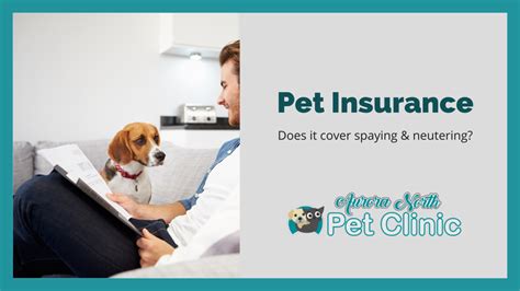 Does Pet Insurance Cover Spay and Neuter: Exploring the Unpredictable World of Pet Care Policies