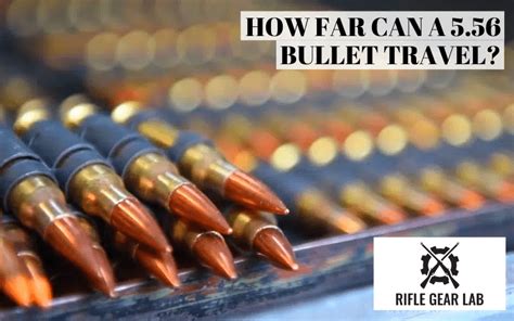 How Far Does a 5.56 Bullet Travel: And Why Do Squirrels Always Seem to Dodge Them?