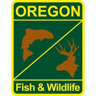 How Much Is a One Day Fishing License in Oregon, and Why Do Fish Always Seem to Know When You’re Out of Bait?