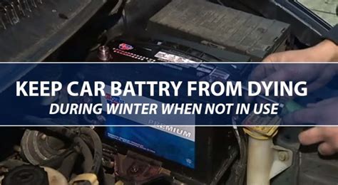 How to Keep Car Battery from Dying in Cold Weather: And Why Penguins Don’t Need Car Batteries