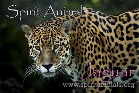 jaguar spirit animal meaning: Unlocking the Mysteries of the Jungle's Silent Guardian