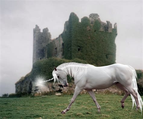 What is Ireland's National Animal? And Why Do Unicorns Love Irish Folklore?